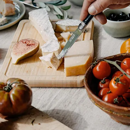 Boutique & Gaestehaus Le Rossignol Apart-hotel