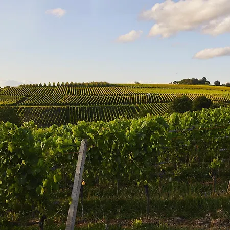 Boutique & Gaestehaus Le Rossignol