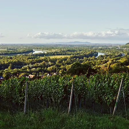 Boutique & Gaestehaus Le Rossignol Efringen-Kirchen