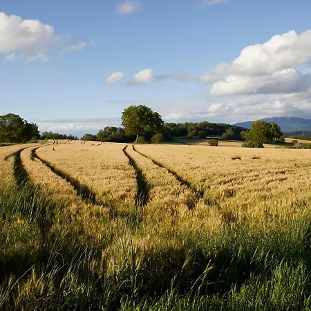 Boutique & Gaestehaus Le Rossignol Apart-hotel Efringen-Kirchen