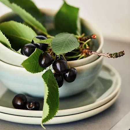 Boutique & Gaestehaus Le Rossignol Apart-hotel Efringen-Kirchen